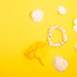 Reddybook Review: How This Innovative Platform Boosts Learning & Entertainment with 11xplay Integration